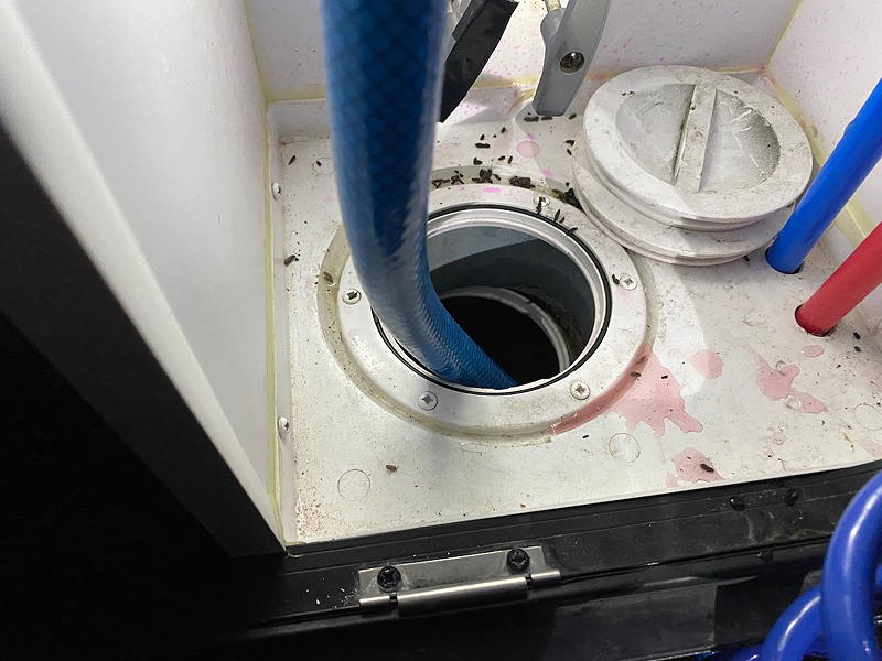 When we opened our water panel to hook up the water, we found mouse poop! That's never a good sign. The pink fluid is RV antifreeze.