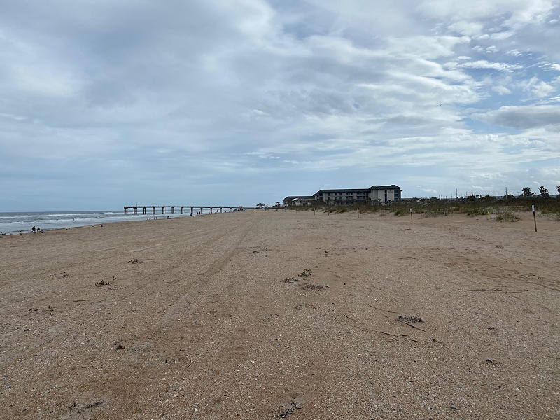 Here, we're looking back towards the footpath we followed to get onto the beach in Anastasia State Park. The path is just in front of the hotel.