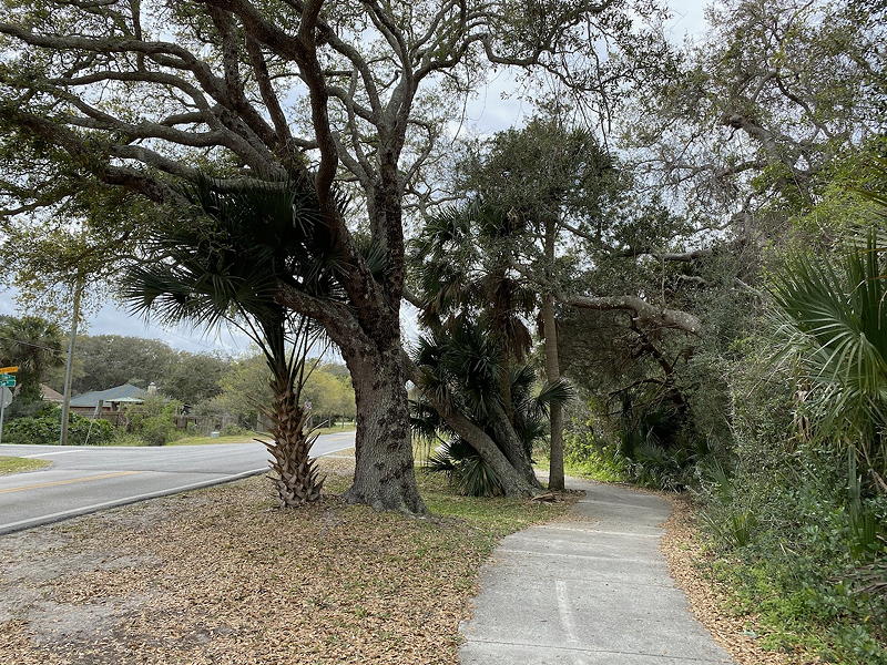 From the St. Augustine Beach KOA, we crossed Aoute A1A and continued walking down Pope Road to get to the beach. It's a beautiful walk.